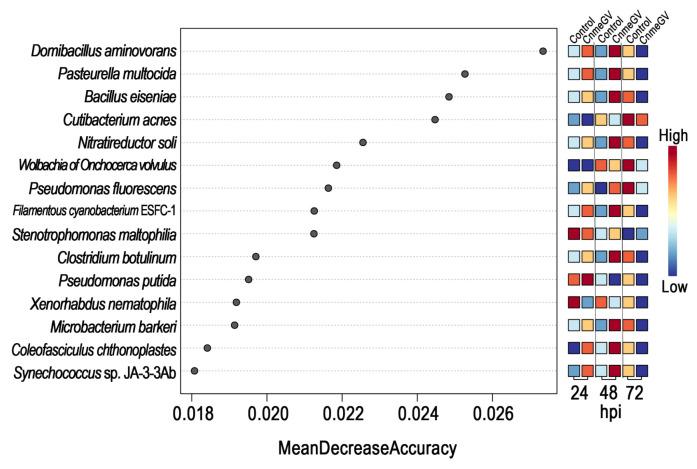 https://cdn.ncbi.nlm.nih.gov/pmc/blobs/85b6/11052019/1be71dc7c493/microorganisms-12-00757-g006.jpg