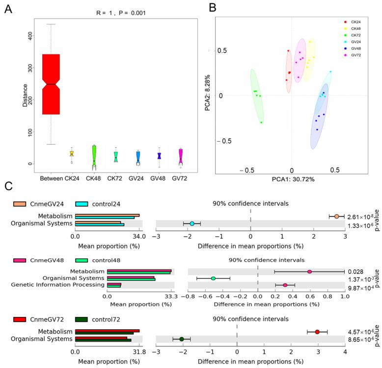 https://cdn.ncbi.nlm.nih.gov/pmc/blobs/85b6/11052019/841052992328/microorganisms-12-00757-g008.jpg
