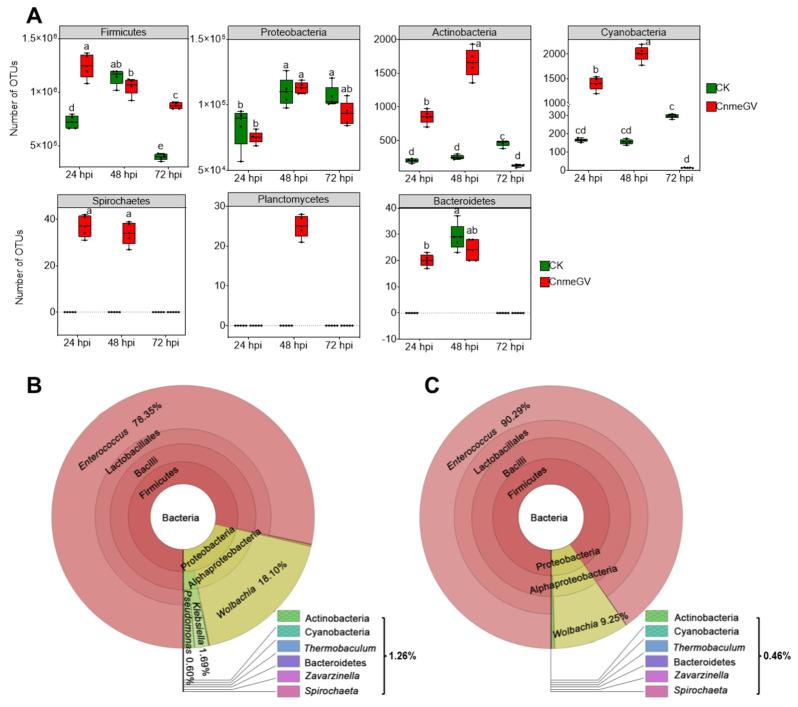 https://cdn.ncbi.nlm.nih.gov/pmc/blobs/85b6/11052019/f1a856cb6e1d/microorganisms-12-00757-g002.jpg
