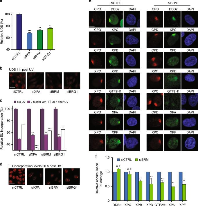 https://cdn.ncbi.nlm.nih.gov/pmc/blobs/85b6/6172278/6d51460d0f1b/41467_2018_6402_Fig1_HTML.jpg