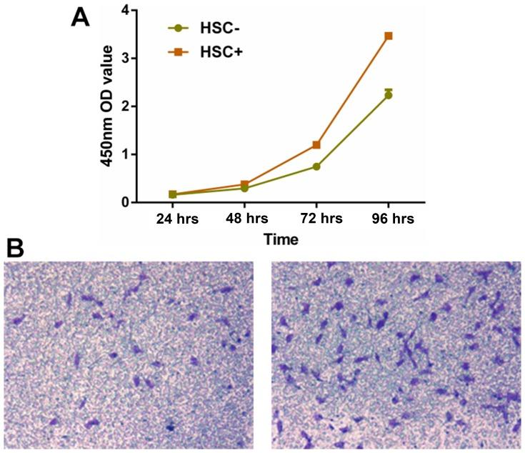 https://cdn.ncbi.nlm.nih.gov/pmc/blobs/85b6/6754330/ad5cdc7d9798/OTT-12-7573-g0006.jpg