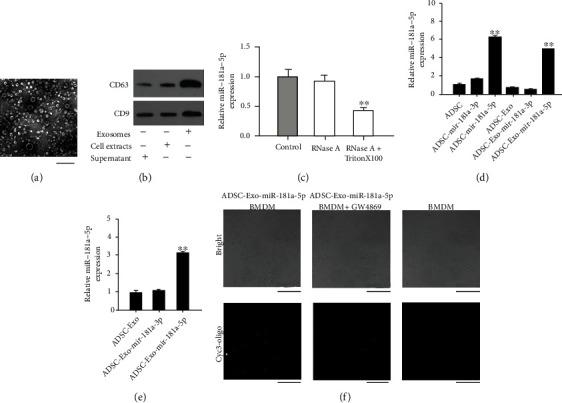 https://cdn.ncbi.nlm.nih.gov/pmc/blobs/85b6/9771653/0e10826dc00f/MI2022-5188895.002.jpg