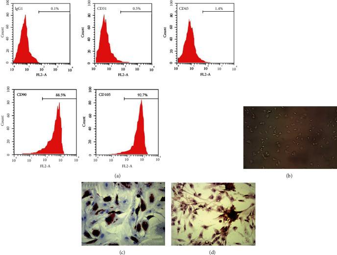 https://cdn.ncbi.nlm.nih.gov/pmc/blobs/85b6/9771653/1eb8166b52dd/MI2022-5188895.001.jpg