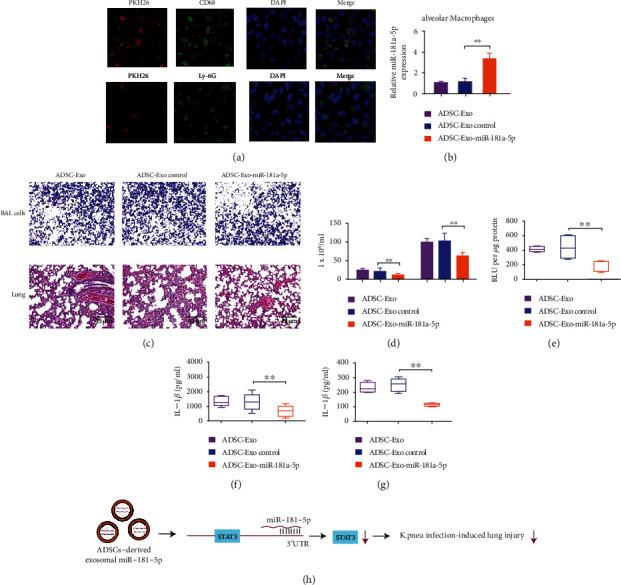 https://cdn.ncbi.nlm.nih.gov/pmc/blobs/85b6/9771653/4e2439f2e7b7/MI2022-5188895.006.jpg