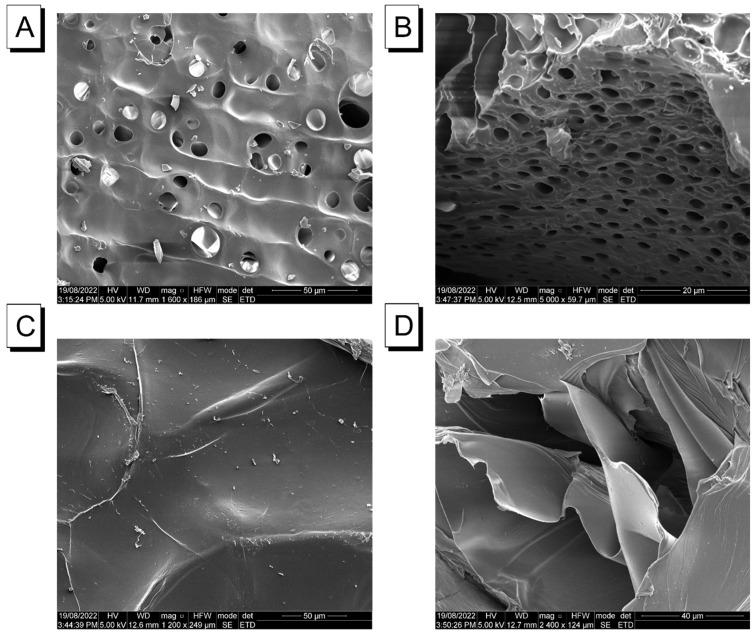 https://cdn.ncbi.nlm.nih.gov/pmc/blobs/85b7/10096627/93d5fa25ef47/molecules-28-03244-g003.jpg