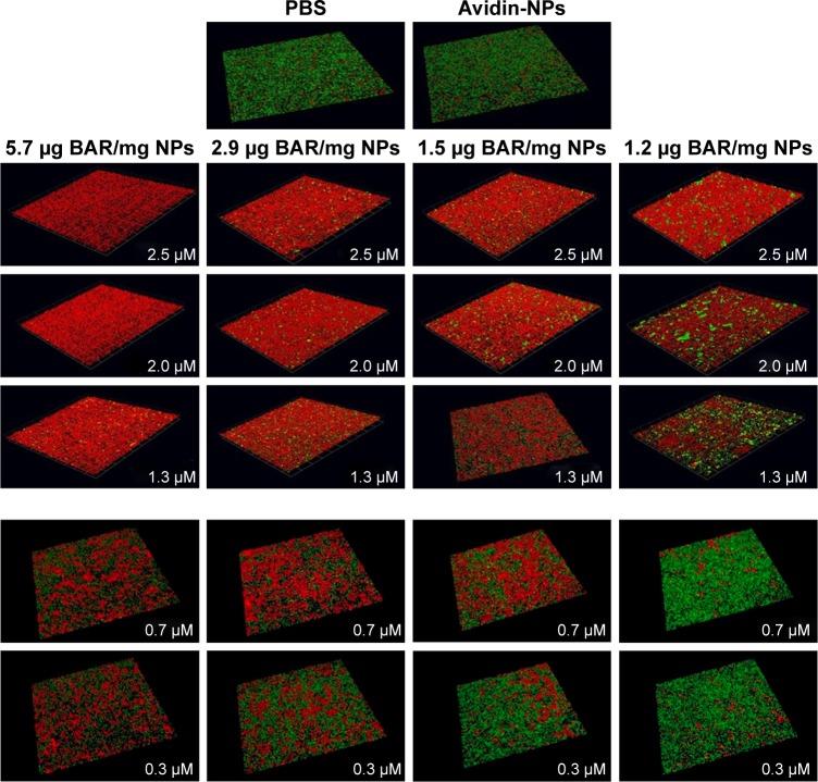 https://cdn.ncbi.nlm.nih.gov/pmc/blobs/85b7/5488760/ee388f2f3ad9/ijn-12-4553Fig5.jpg