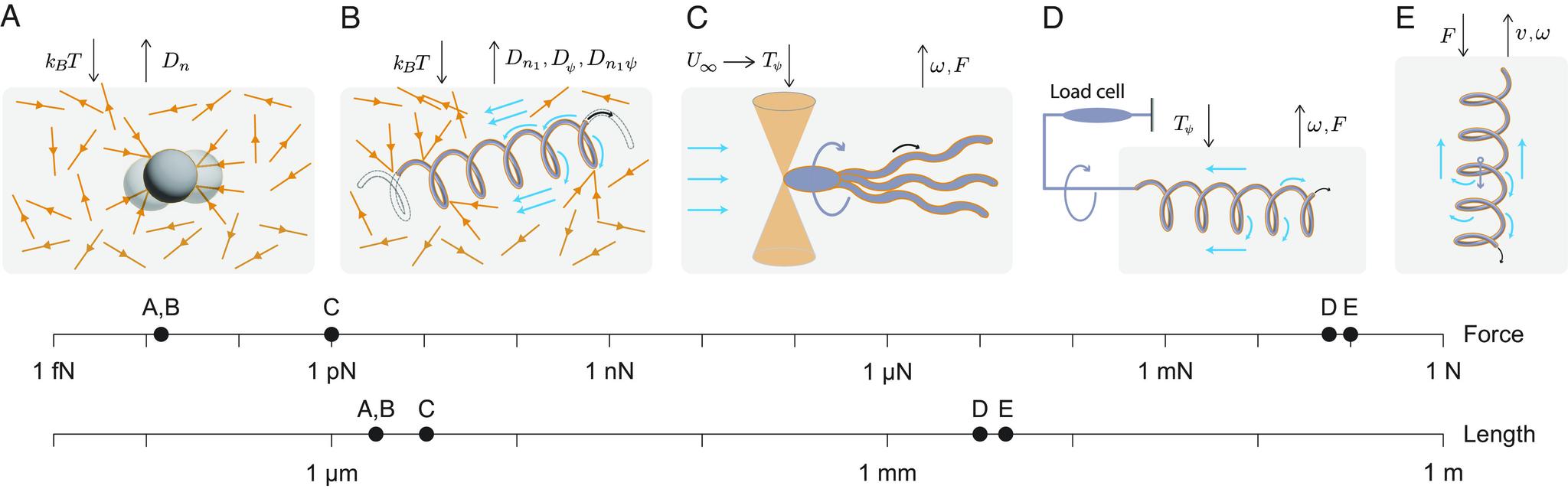 https://cdn.ncbi.nlm.nih.gov/pmc/blobs/85b8/10235983/f0a375b1ab11/pnas.2220033120fig01.jpg
