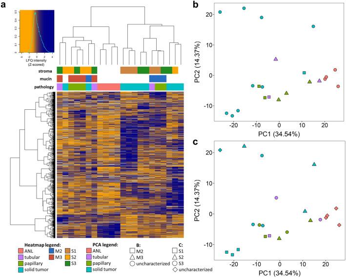 https://cdn.ncbi.nlm.nih.gov/pmc/blobs/85ba/10110559/2bacb3398d8f/41598_2023_33435_Fig8_HTML.jpg
