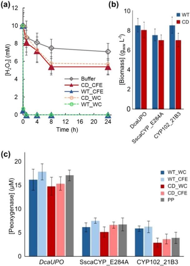 https://cdn.ncbi.nlm.nih.gov/pmc/blobs/85bc/12067033/4dbf484eefb0/BIT-122-1376-g004.jpg
