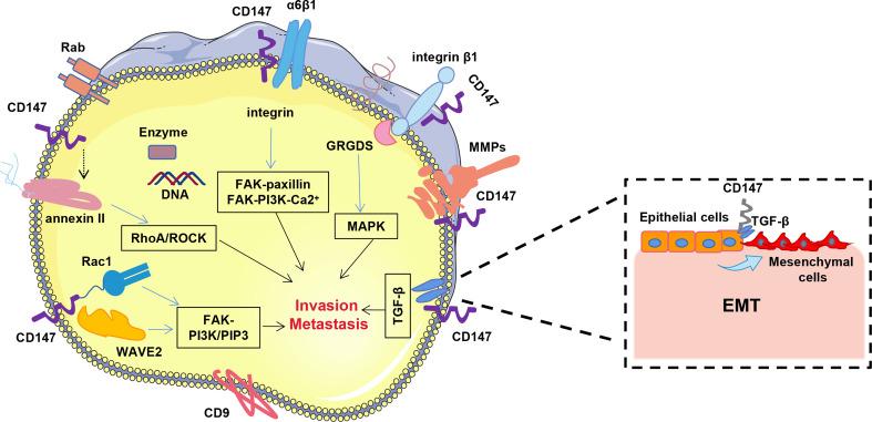 https://cdn.ncbi.nlm.nih.gov/pmc/blobs/85be/10115957/86fc364e6629/fimmu-14-1149931-g002.jpg