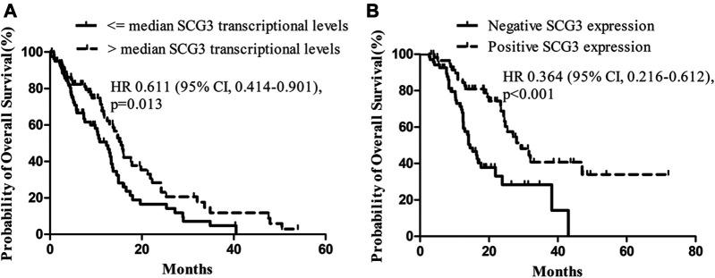 https://cdn.ncbi.nlm.nih.gov/pmc/blobs/85c0/8262226/2ecb16574d25/pore-27-594931-g004.jpg