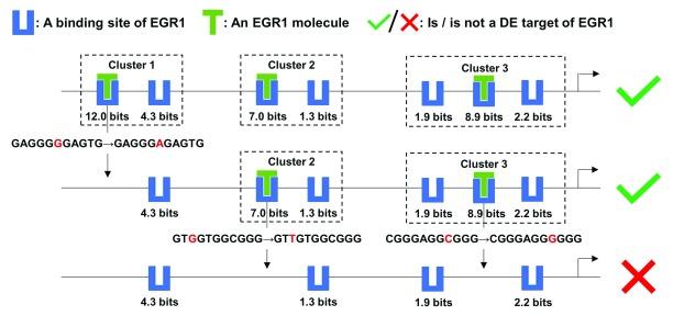 https://cdn.ncbi.nlm.nih.gov/pmc/blobs/85c1/6464135/bbb2230b3373/f1000research-7-20525-g0004.jpg