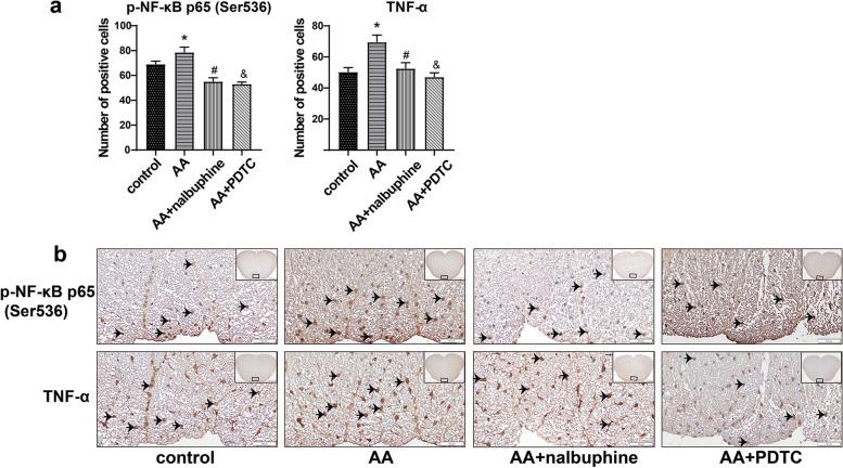https://cdn.ncbi.nlm.nih.gov/pmc/blobs/85c5/9158276/64faefc697ad/40360_2022_573_Fig5_HTML.jpg