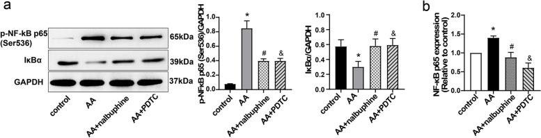 https://cdn.ncbi.nlm.nih.gov/pmc/blobs/85c5/9158276/67d9cf5b5098/40360_2022_573_Fig3_HTML.jpg