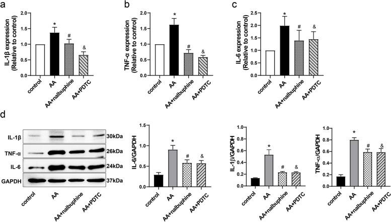 https://cdn.ncbi.nlm.nih.gov/pmc/blobs/85c5/9158276/d5ddc2d30b21/40360_2022_573_Fig4_HTML.jpg