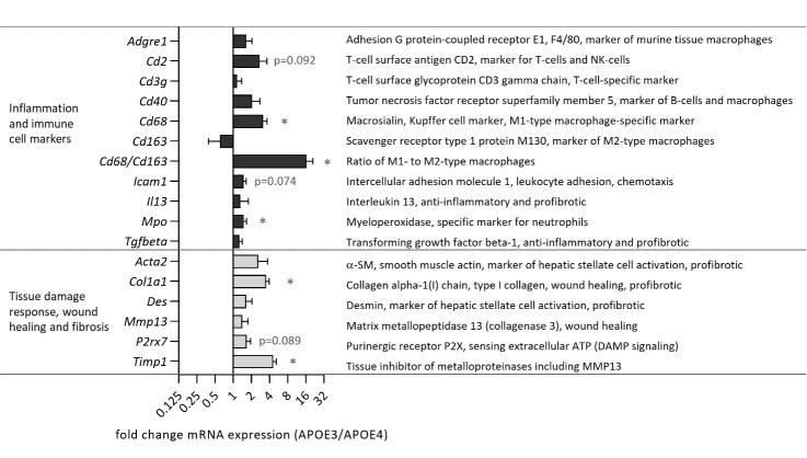 https://cdn.ncbi.nlm.nih.gov/pmc/blobs/85c6/10796091/8c5c37484e4e/AD-15-1-259-g6.jpg