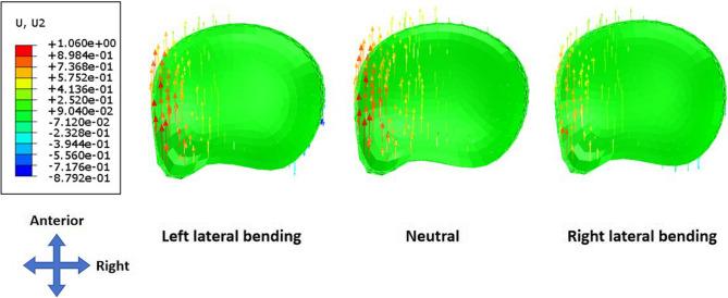 https://cdn.ncbi.nlm.nih.gov/pmc/blobs/85c6/12317557/1619a6f37cdf/12891_2025_8991_Fig5_HTML.jpg