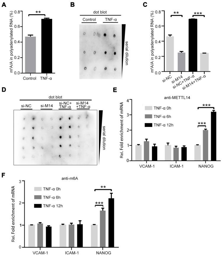 https://cdn.ncbi.nlm.nih.gov/pmc/blobs/85c6/7415798/229abebd5dae/thnov10p8939g002.jpg