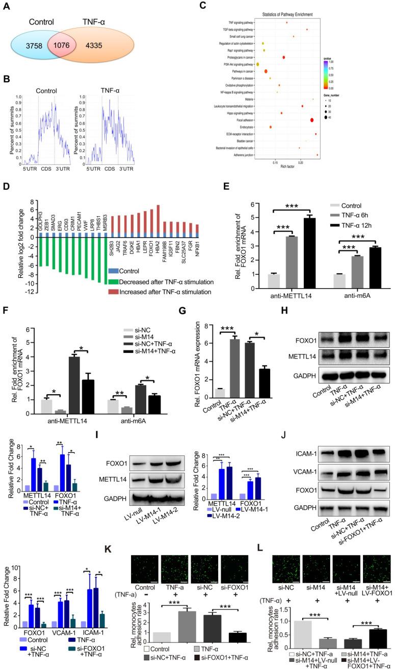 https://cdn.ncbi.nlm.nih.gov/pmc/blobs/85c6/7415798/2a79bdaec5f1/thnov10p8939g003.jpg