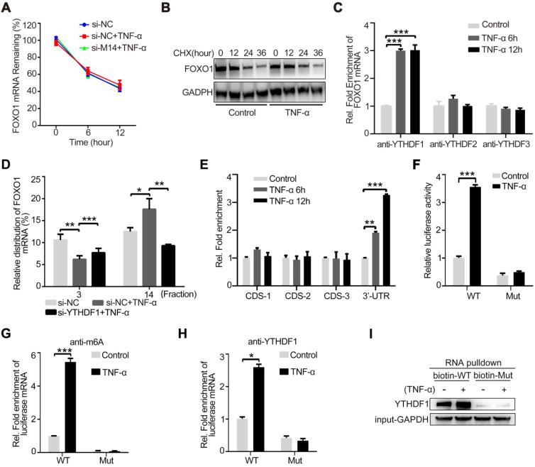 https://cdn.ncbi.nlm.nih.gov/pmc/blobs/85c6/7415798/c5d3a3db3a49/thnov10p8939g004.jpg