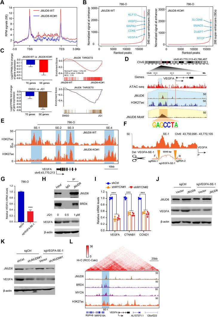 https://cdn.ncbi.nlm.nih.gov/pmc/blobs/85c6/7882098/e2e574ade2f3/CTM2-11-e328-g006.jpg