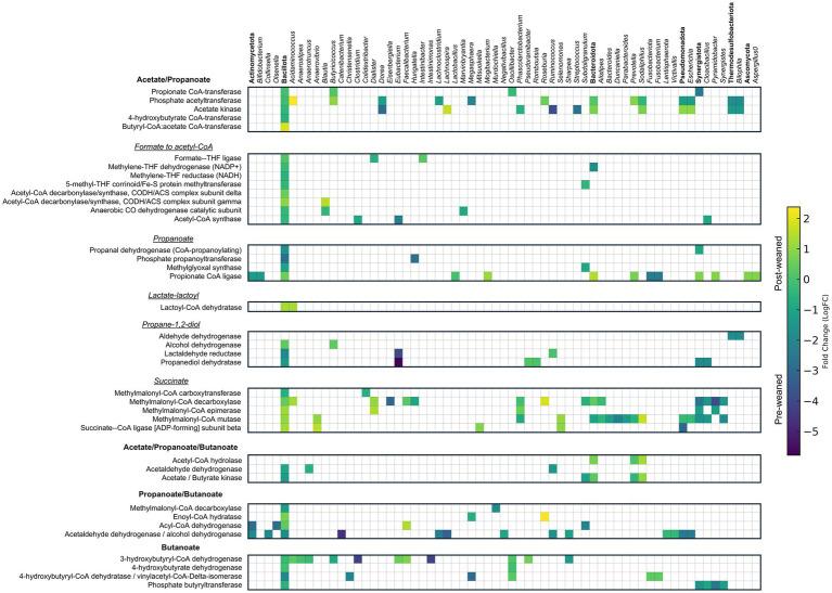 https://cdn.ncbi.nlm.nih.gov/pmc/blobs/85c7/12082470/9baf734a9c2a/fmicb-16-1504433-g006.jpg
