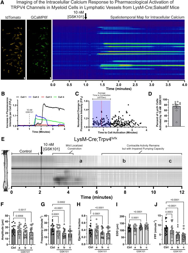 https://cdn.ncbi.nlm.nih.gov/pmc/blobs/85c7/12379798/59a2b8653a00/atv-45-e412-g006.jpg