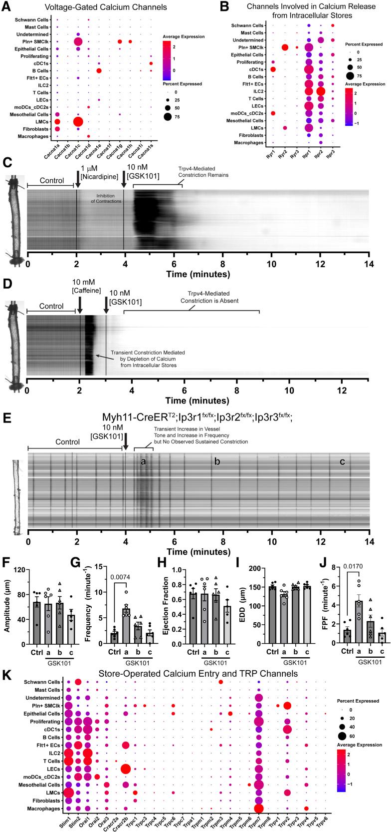 https://cdn.ncbi.nlm.nih.gov/pmc/blobs/85c7/12379798/ce990d2def44/atv-45-e412-g008.jpg