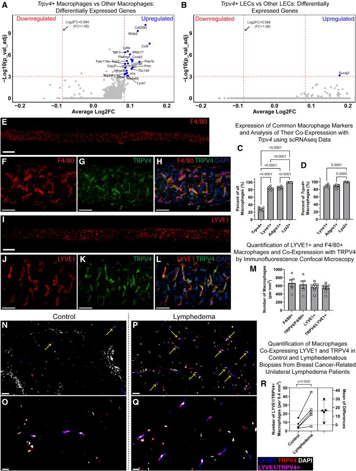 https://cdn.ncbi.nlm.nih.gov/pmc/blobs/85c7/12379798/d82b870f9d7e/atv-45-e412-g002.jpg