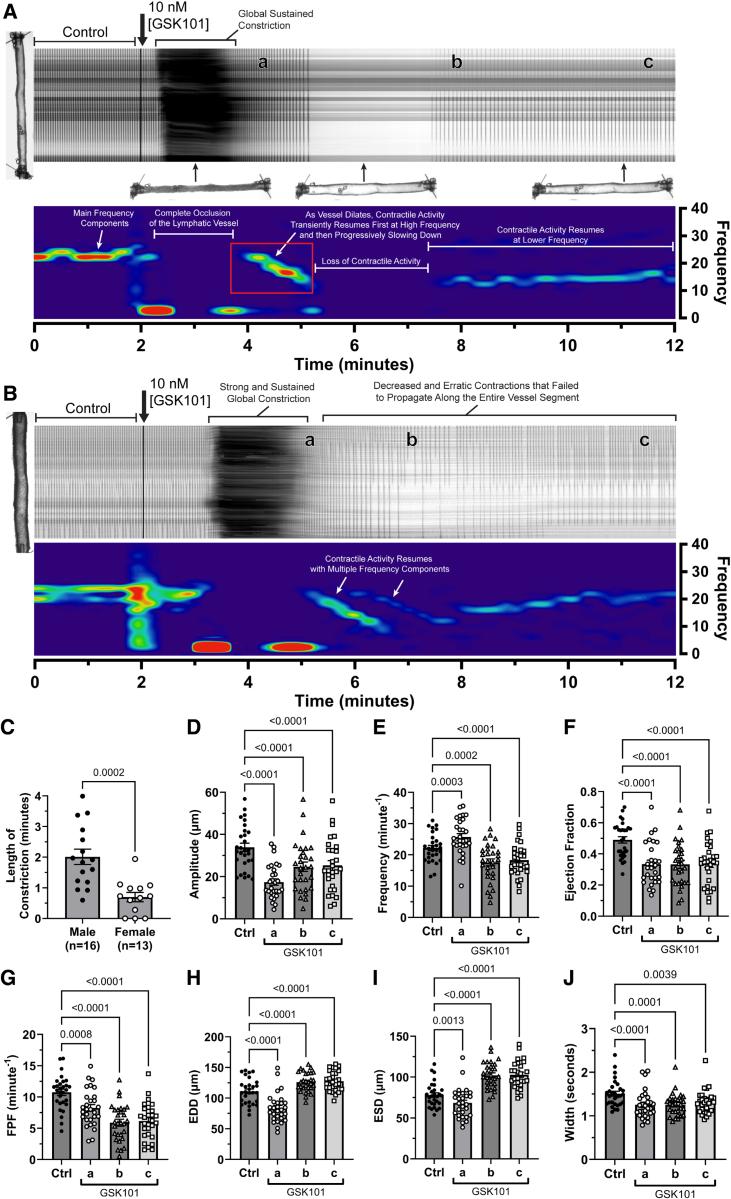 https://cdn.ncbi.nlm.nih.gov/pmc/blobs/85c7/12379798/e5820c6be1df/atv-45-e412-g003.jpg