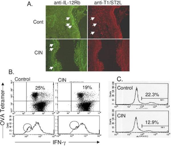 https://cdn.ncbi.nlm.nih.gov/pmc/blobs/85ca/2868869/56855278149c/1710-1492-4-3-95-1.jpg