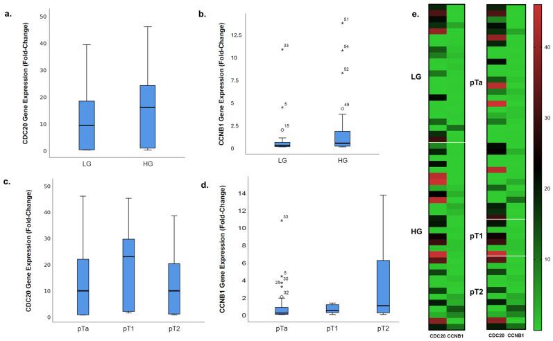 https://cdn.ncbi.nlm.nih.gov/pmc/blobs/85cb/11719780/3b66ca2ef18e/diagnostics-15-00059-g001.jpg