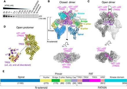 https://cdn.ncbi.nlm.nih.gov/pmc/blobs/85cb/5425235/9d1becb1bc76/1700933-F1.jpg