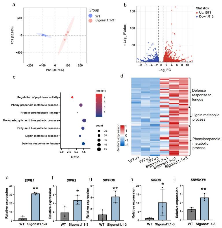 https://cdn.ncbi.nlm.nih.gov/pmc/blobs/85cd/12026973/547a79077a09/genes-16-00470-g005.jpg