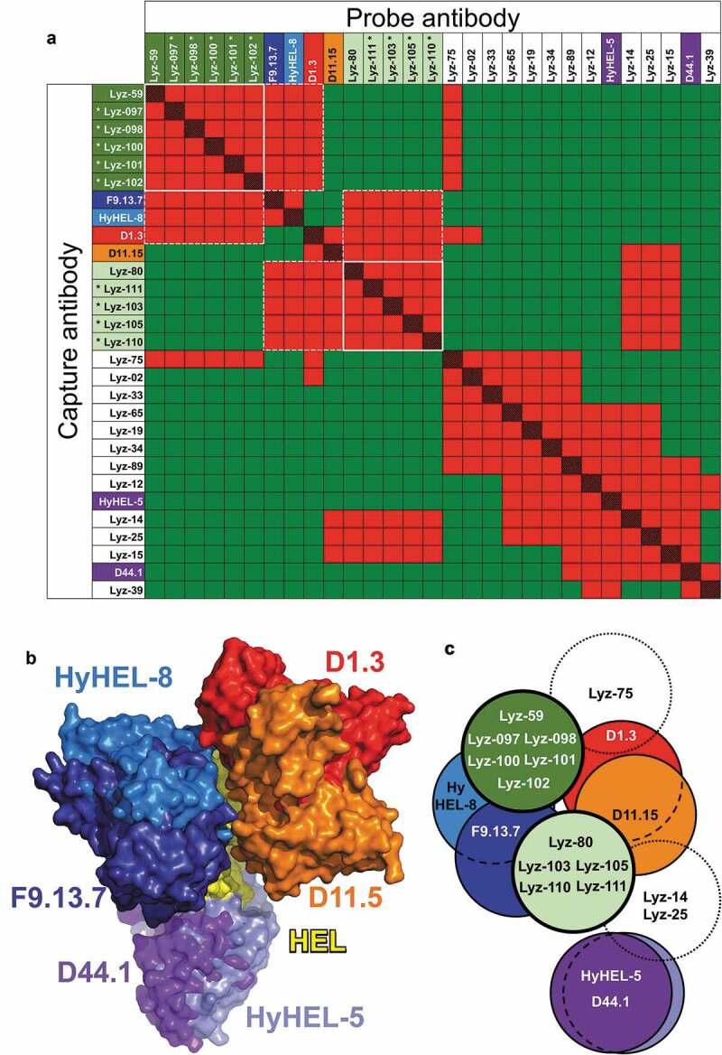 https://cdn.ncbi.nlm.nih.gov/pmc/blobs/85ce/7039645/5e63de0a92bf/kmab-12-01-1722541-g004.jpg