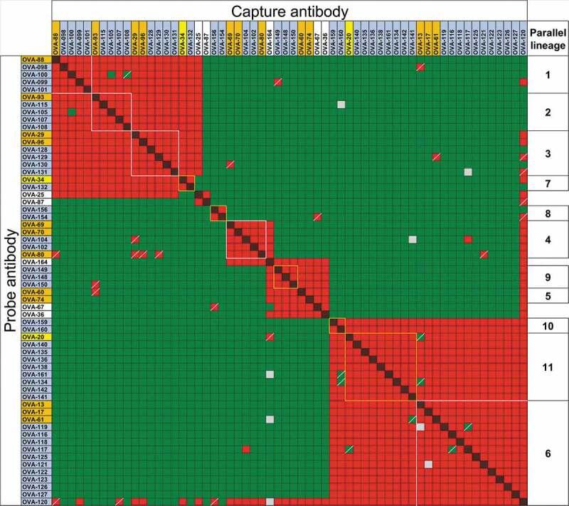 https://cdn.ncbi.nlm.nih.gov/pmc/blobs/85ce/7039645/ec956486cde0/kmab-12-01-1722541-g003.jpg