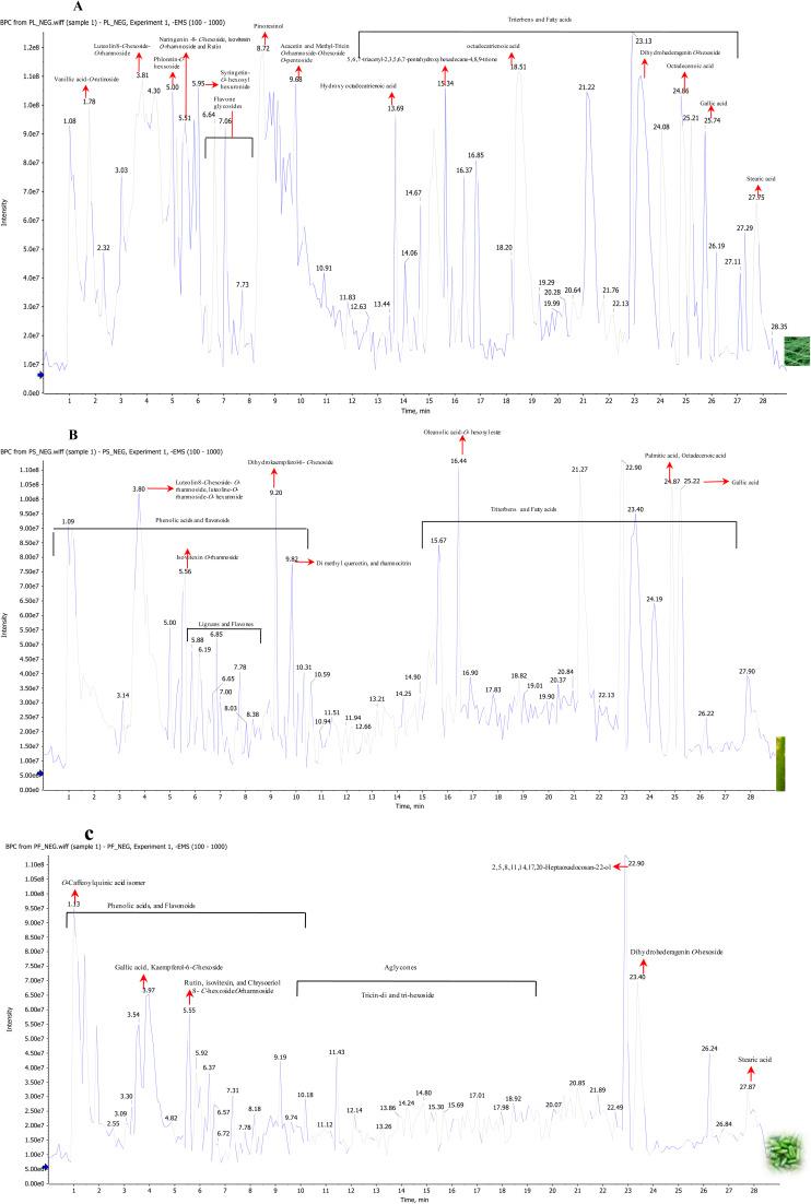 https://cdn.ncbi.nlm.nih.gov/pmc/blobs/85d0/12107345/df47daf71eeb/d5ra00906e-f2.jpg