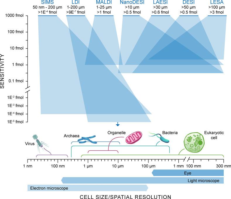 https://cdn.ncbi.nlm.nih.gov/pmc/blobs/85d0/8033567/87c78e19e549/js0c00439_0002.jpg