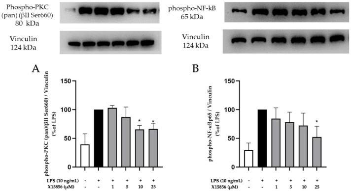 https://cdn.ncbi.nlm.nih.gov/pmc/blobs/85d1/11049839/6d2fd1d8affc/ijms-25-04462-g009.jpg