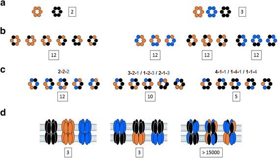 https://cdn.ncbi.nlm.nih.gov/pmc/blobs/85d3/5267329/83b005c780cf/12860_2016_118_Fig2_HTML.jpg