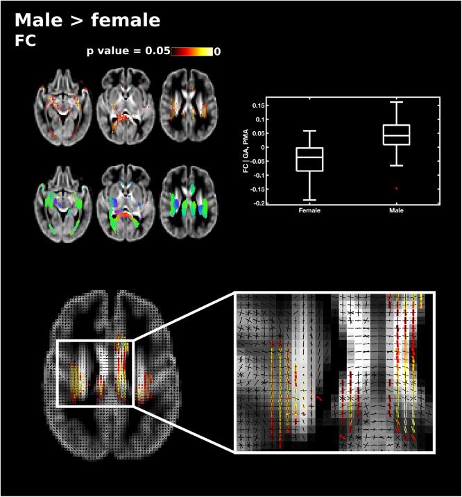 https://cdn.ncbi.nlm.nih.gov/pmc/blobs/85d4/6462822/095bdc018a79/gr10.jpg