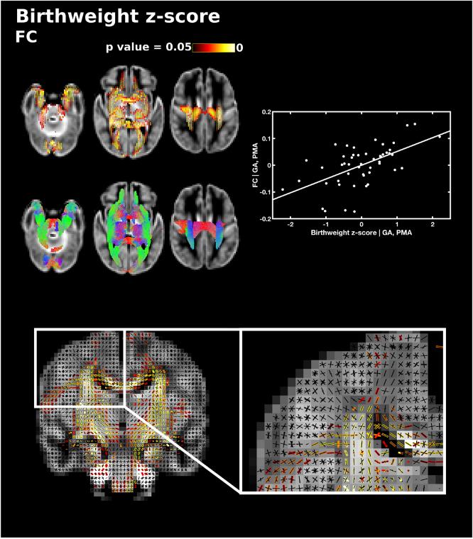 https://cdn.ncbi.nlm.nih.gov/pmc/blobs/85d4/6462822/7b9c92765d30/gr9.jpg