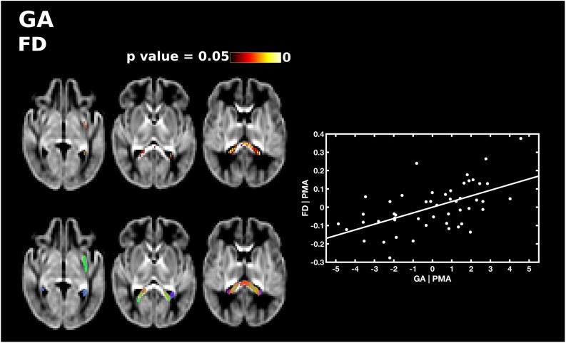 https://cdn.ncbi.nlm.nih.gov/pmc/blobs/85d4/6462822/a8603f066e64/gr4.jpg