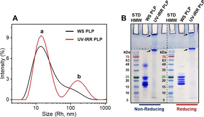 https://cdn.ncbi.nlm.nih.gov/pmc/blobs/85d4/7057709/6c96b1ec1c85/ao9b04234_0003.jpg