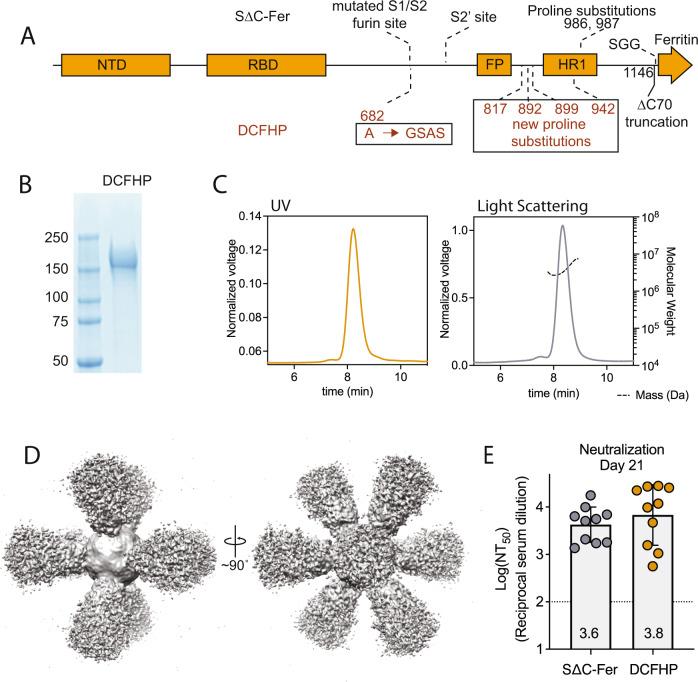 https://cdn.ncbi.nlm.nih.gov/pmc/blobs/85d5/10110616/5e2f55cff5cb/41467_2023_37417_Fig1_HTML.jpg