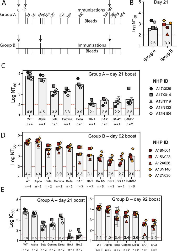 https://cdn.ncbi.nlm.nih.gov/pmc/blobs/85d5/10110616/89e9ec7eac0d/41467_2023_37417_Fig3_HTML.jpg