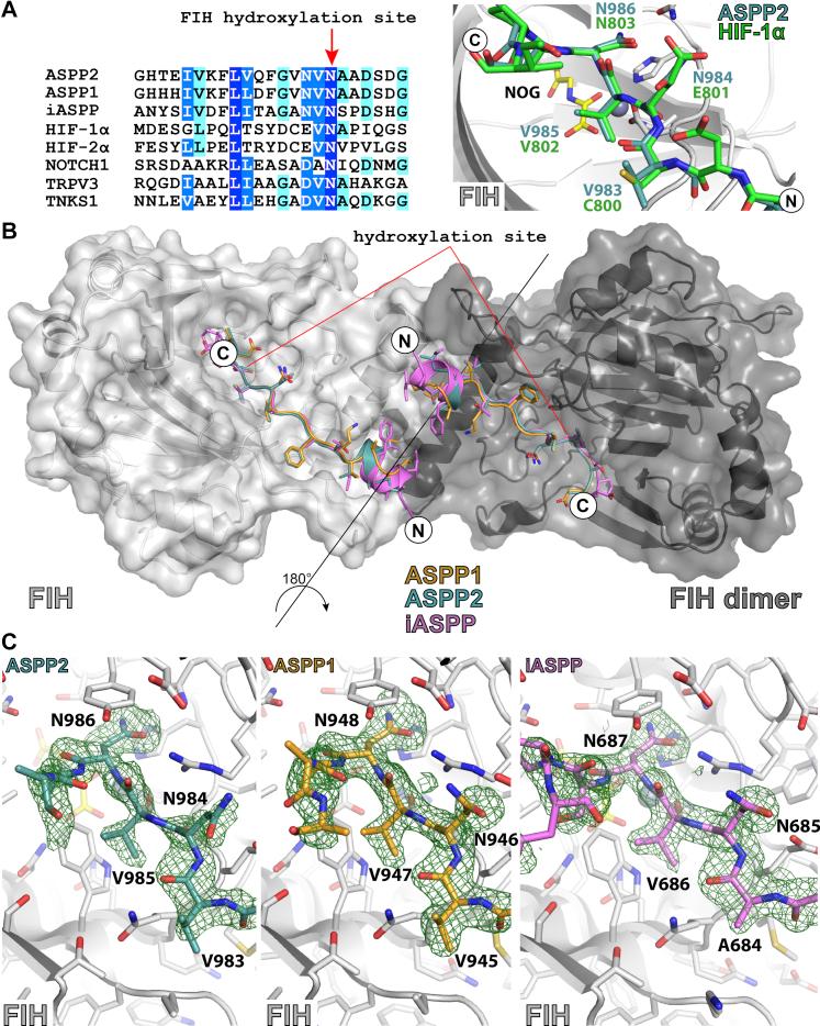 https://cdn.ncbi.nlm.nih.gov/pmc/blobs/85d5/9189129/e9e2d507bf42/gr2.jpg