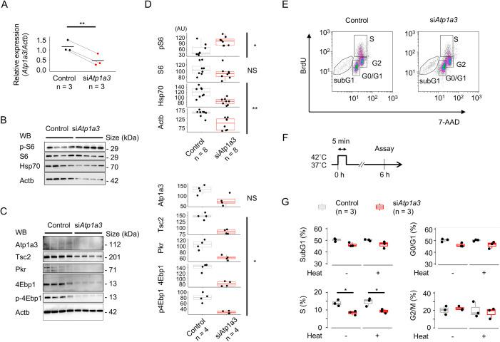 https://cdn.ncbi.nlm.nih.gov/pmc/blobs/85d7/11247502/f9da9013b0cb/dmm-17-050574-g3.jpg