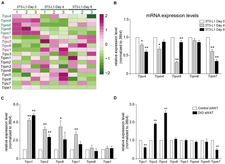 https://cdn.ncbi.nlm.nih.gov/pmc/blobs/85d7/7525235/3ae3ba3426b0/fmolb-07-564339-g006.jpg