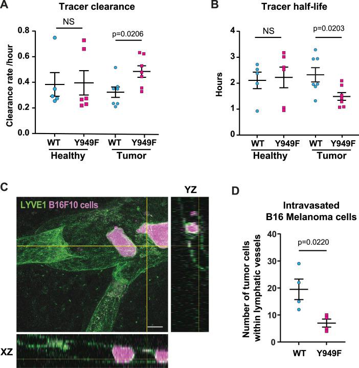 https://cdn.ncbi.nlm.nih.gov/pmc/blobs/85d8/10751244/46db34c439ec/LSA-2023-02168_Fig3.jpg